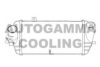 AUTOGAMMA 107340 Intercooler, charger